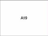 A19