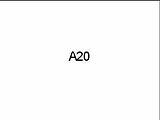 A20