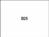 B25
