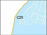 C25