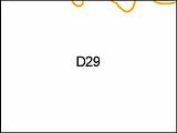 D29