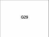 G29