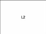 L2