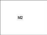 M2