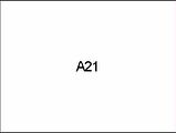 A21