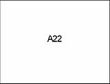 A22