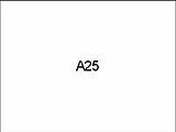 A25