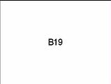 B19