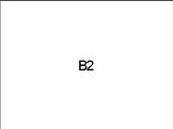 B2
