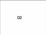 D2
