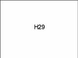 H29